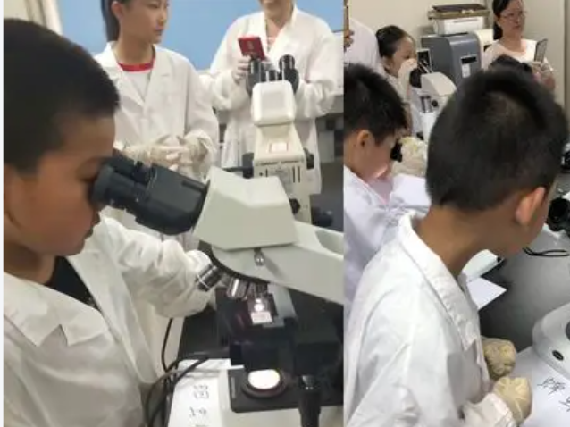 构建起网络讲堂区域教研的数字教育新生态中心节点全覆盖